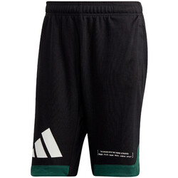 Vêtements Homme Shorts / Bermudas adidas Originals FP9375 Vert