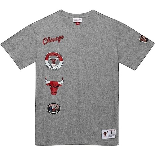 Vêtements Homme T-shirts manches courtes Short Nba Miami Heat 2005-06 M  Gris