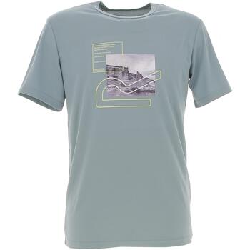 Vêtements Homme T-shirts & Polos Regatta Fingal vii Vert