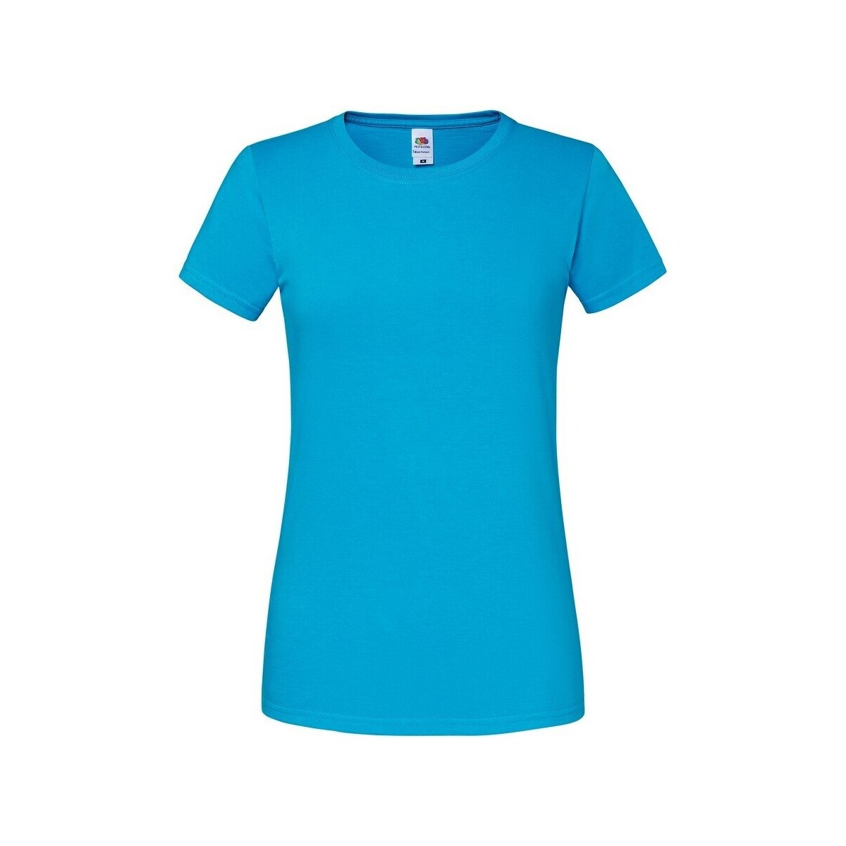 Vêtements Femme T-shirts manches longues Fruit Of The Loom Premium Multicolore