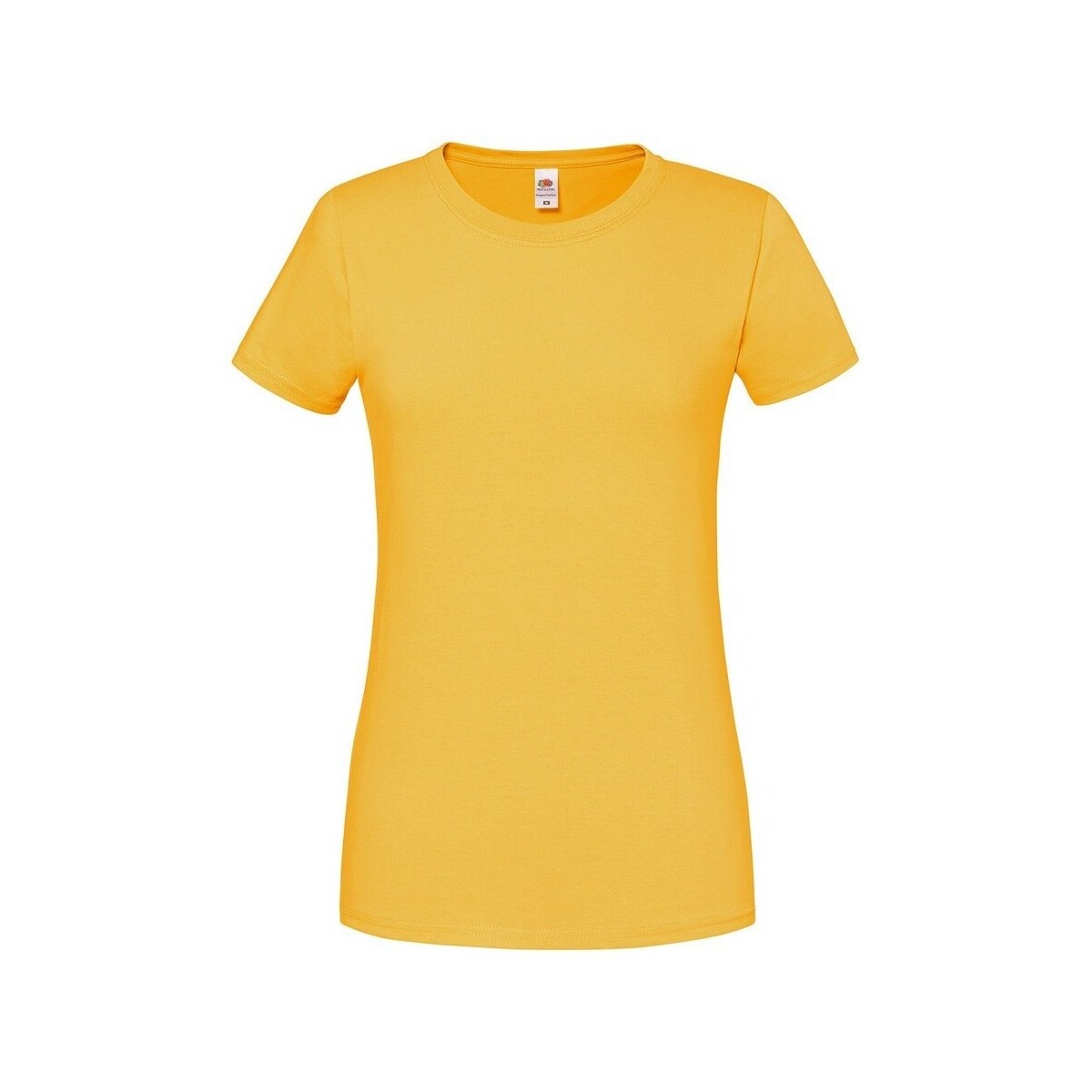 Vêtements Femme T-shirts manches longues Fruit Of The Loom Premium Multicolore