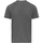 Vêtements T-shirts manches longues Gildan Softstyle Gris