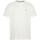 Vêtements Homme T-shirts manches courtes Tommy Hilfiger  Blanc