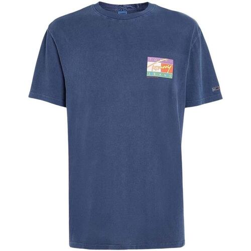 Vêtements Homme T-shirts manches courtes Tommy Hilfiger  Bleu