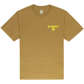 Vêtements Homme T-shirts & Polos Element Disco Marron