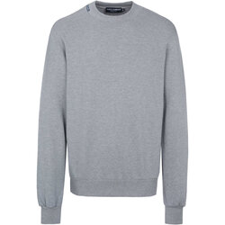 Vêtements Homme Sweats D&G Пуловер Gris