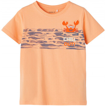 Vêtements Garçon T-shirts manches courtes Name it 13203022 Orange