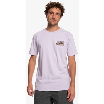 Vêtements Homme T-shirts polo manches courtes Quiksilver  Violet