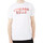 Vêtements Homme T-shirts & Polos New-Era 12869842 Blanc