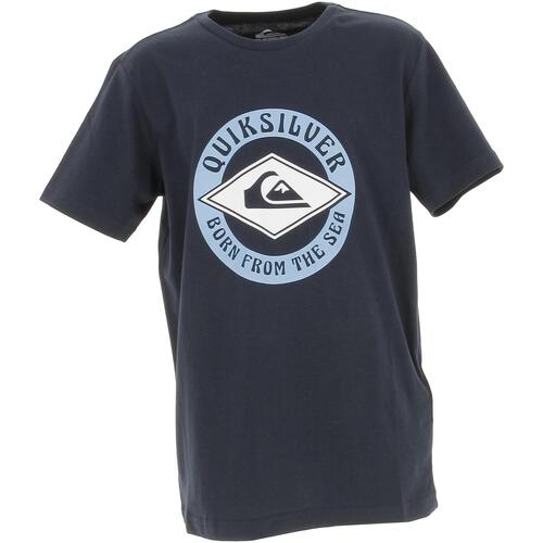 Vêtements Garçon T-shirts manches courtes Quiksilver Breezy flaxton youth Bleu