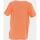 Vêtements Garçon T-shirts manches courtes Quiksilver Tonal vibes flaxton youth Orange