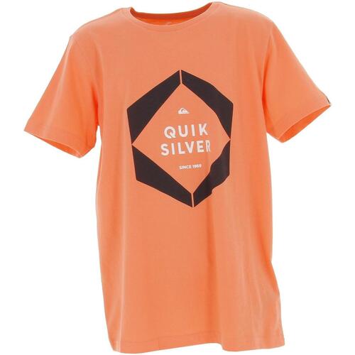 Vêtements Garçon Polos manches courtes Quiksilver Tonal vibes flaxton youth Orange