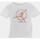 Vêtements Enfant T-shirts manches courtes Nike Mj flight mvp short set Blanc