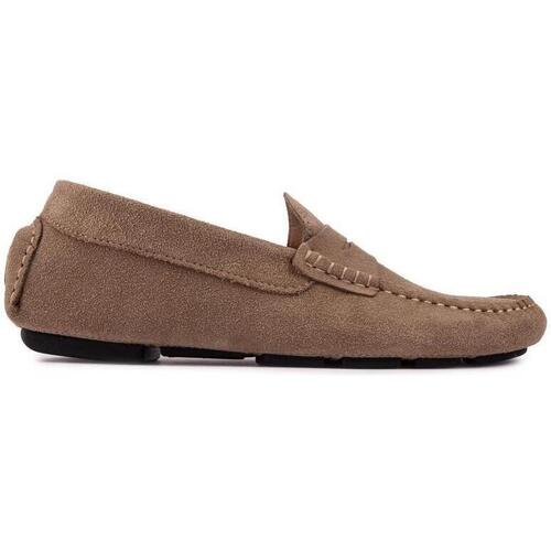 Chaussures Homme Mocassins Sole The Indian Face Gris