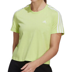 Vêtements Femme T-shirts manches courtes adidas Originals HF7246 Vert