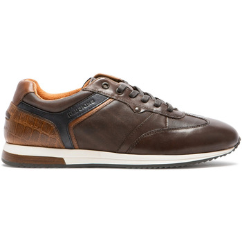 Chaussures Homme Baskets basses Redskins LISTING CHATAIGNE+MARINE+BRANDY Marron