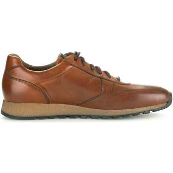 Chaussures Homme Baskets mode Pius Gabor 0496.13.10 Marron