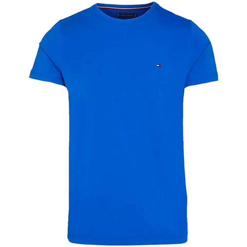 Vêtements Homme T-shirts manches courtes Tommy Jeans Extra Slim Logo Bleu