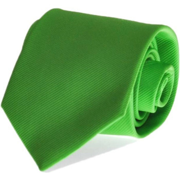 Vêtements Homme Cravates et accessoires Suitable Cravate Soie Vert Vif Uni F33 Vert