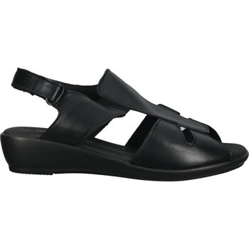 Chaussures Femme Moyen : 3 à 5cm Arcopedico Sandales Noir