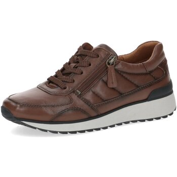 Chaussures Femme Black Comb Casual Closed Caprice  Marron