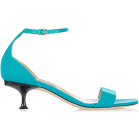 Chaussures Femme Sandales et Nu-pieds Sergio Rossi Sandale Bleu
