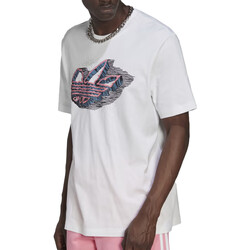 Vêtements Homme T-shirts manches courtes adidas Originals HK7334 Blanc