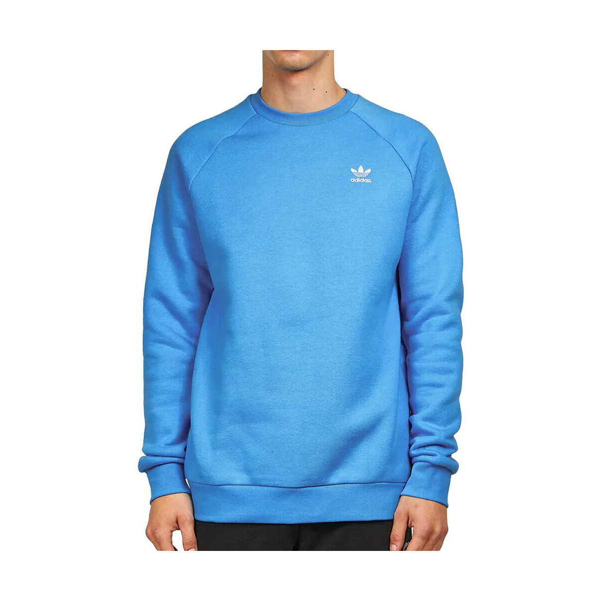Vêtements Homme Sweats adidas Originals HJ7992 Bleu