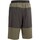 Vêtements Homme Shorts / Bermudas Trespass Hainford Multicolore