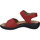 Chaussures Femme Sandales et Nu-pieds Westland SANDALE  IBIZA 79 ROUGE Rouge
