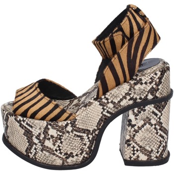 Chaussures Femme Sandales et Nu-pieds Jeffrey Campbell BC213 Marron