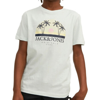 Vêtements Garçon T-shirts manches courtes Jack & Jones 12235491 Vert