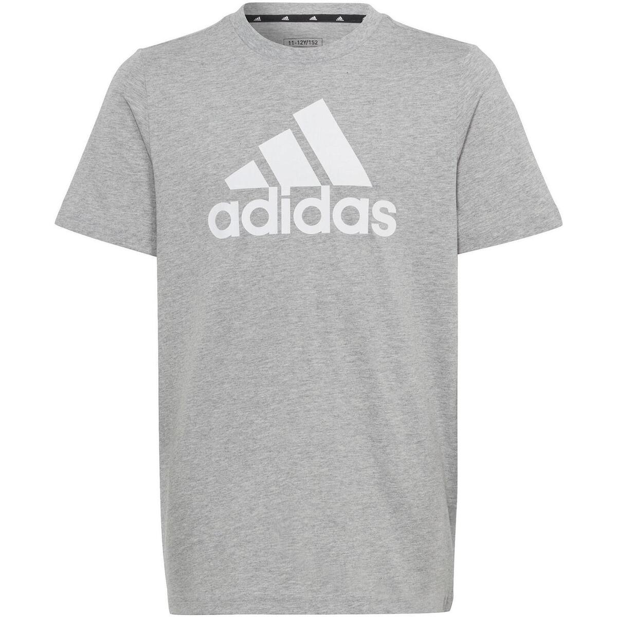 Vêtements Garçon T-shirts manches courtes adidas Originals U bl tee Gris