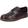 Chaussures Homme Derbies & Richelieu Bruno Verri BC292 Marron