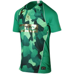 Vêtements Homme T-shirts & Polos Nike Maillot de foot HOMME  DRIFIT MBAPPE BONDY DREAMS Vert