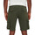 Vêtements Homme Shorts / Bermudas Only & Sons  22024564 Vert