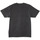 Vêtements Homme T-shirts manches courtes DC Shoes Tuition Noir