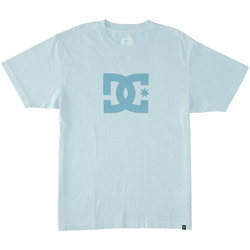Vêtements Homme T-shirts manches courtes DC SHOES Running DC Star Pigment Dye Bleu