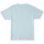 Vêtements Homme T-shirts manches courtes DC Shoes DC Star Pigment Dye Bleu