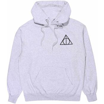 Vêtements Sweats Harry Potter Nothing To Fear Gris