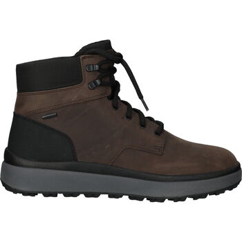 Chaussures Homme Boots Geox Bottines Marron