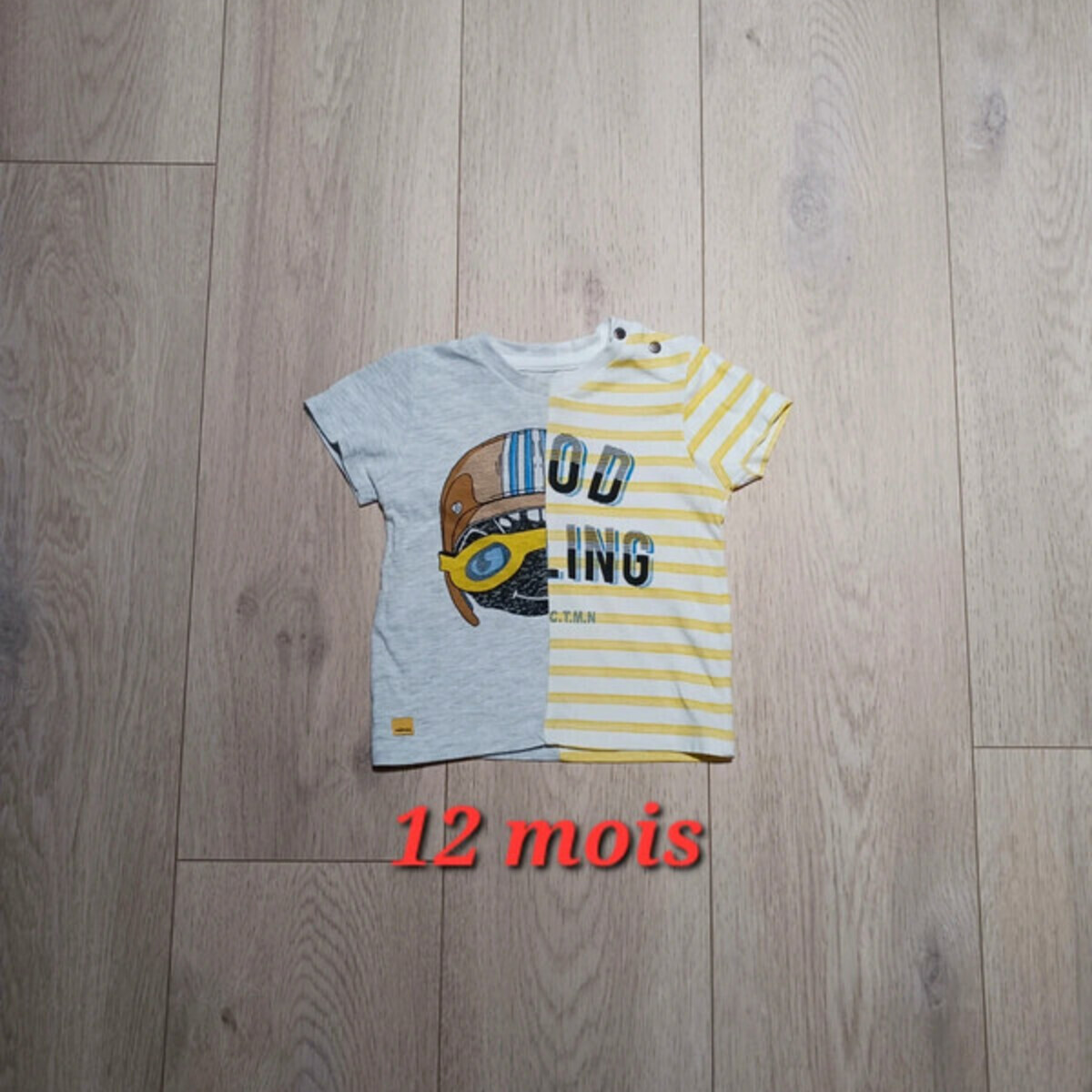 Vêtements Garçon T-shirts manches courtes Catimini T-shirt print Catimini 12 mois Multicolore
