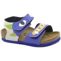 Chaussures Enfant Sandales et Nu-pieds Birkenstock BIR-RRR-1018989-BL Bleu