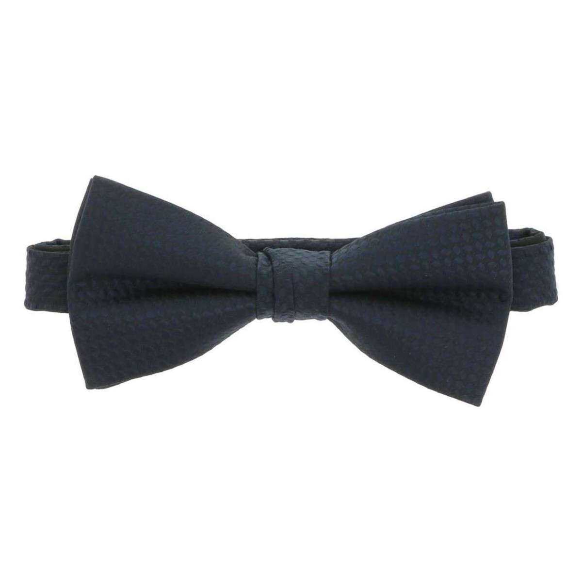 Vêtements Homme Cravates et accessoires Premium By Jack & Jones 145143VTPE23 Marine