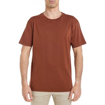 Vêtements Homme T-shirts & Polos Pullin T-shirt  RELAXAZTEC Marron
