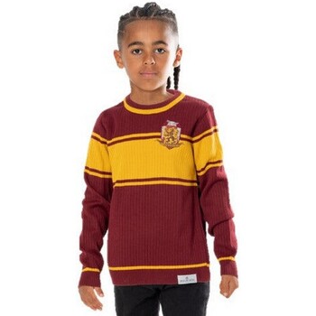 Vêtements Enfant Sweats Harry Potter  Multicolore