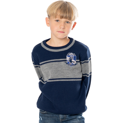 Vêtements Enfant Sweats Harry Potter  Bleu