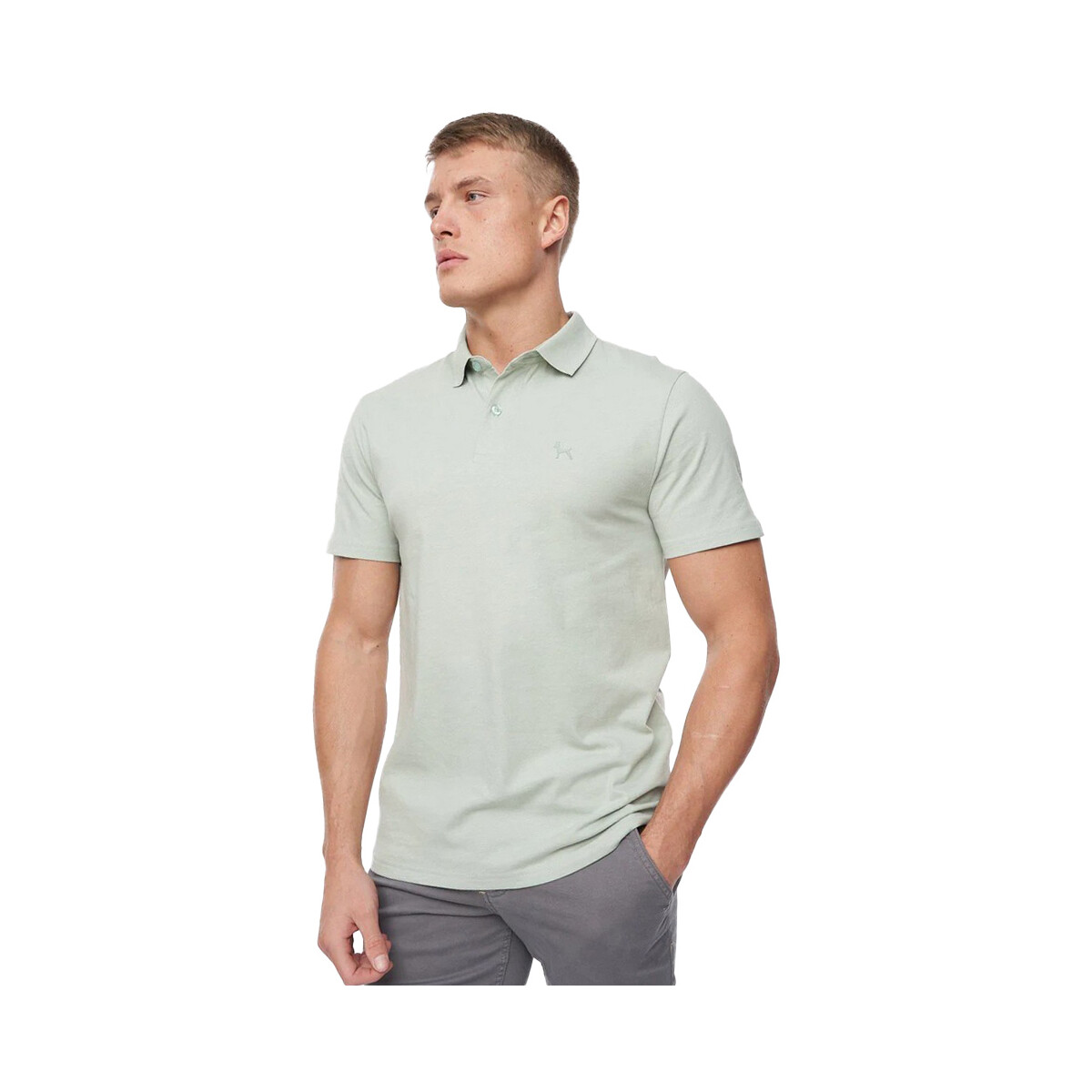 Vêtements Homme T-shirts & Polos Bewley And Ritch Nandor Vert