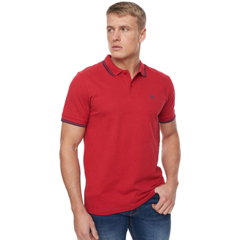 Vêtements Homme T-shirts & Polos Bewley And Ritch Upwood Rouge