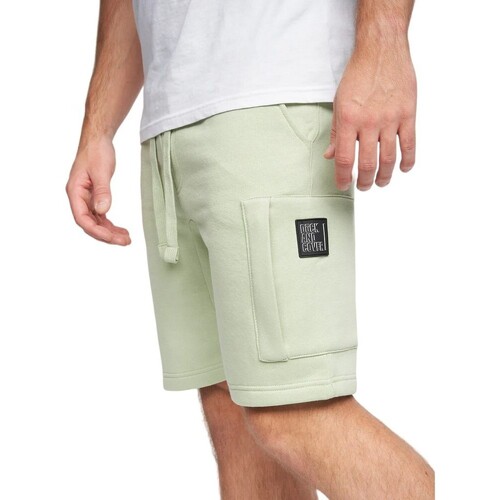Vêtements Homme Shorts / Bermudas Duck And Cover BG957 Vert